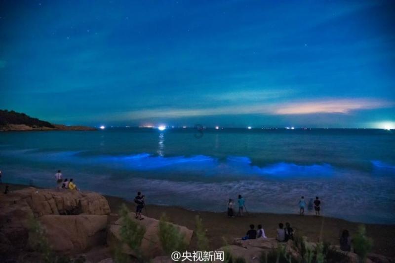 亲爱的金主大人